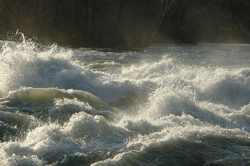 Rapids (flickr: amerune) Rapids (flickr: amerune)