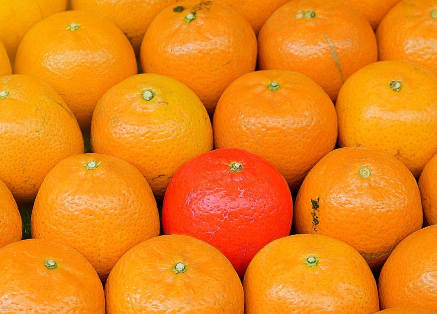 one redder orange among oranges