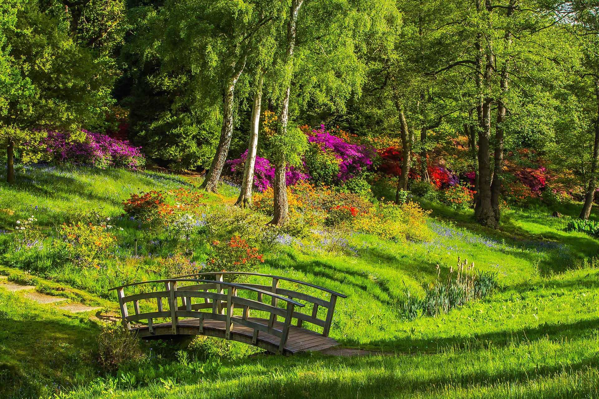 bridge in a green forest with lots of flowers