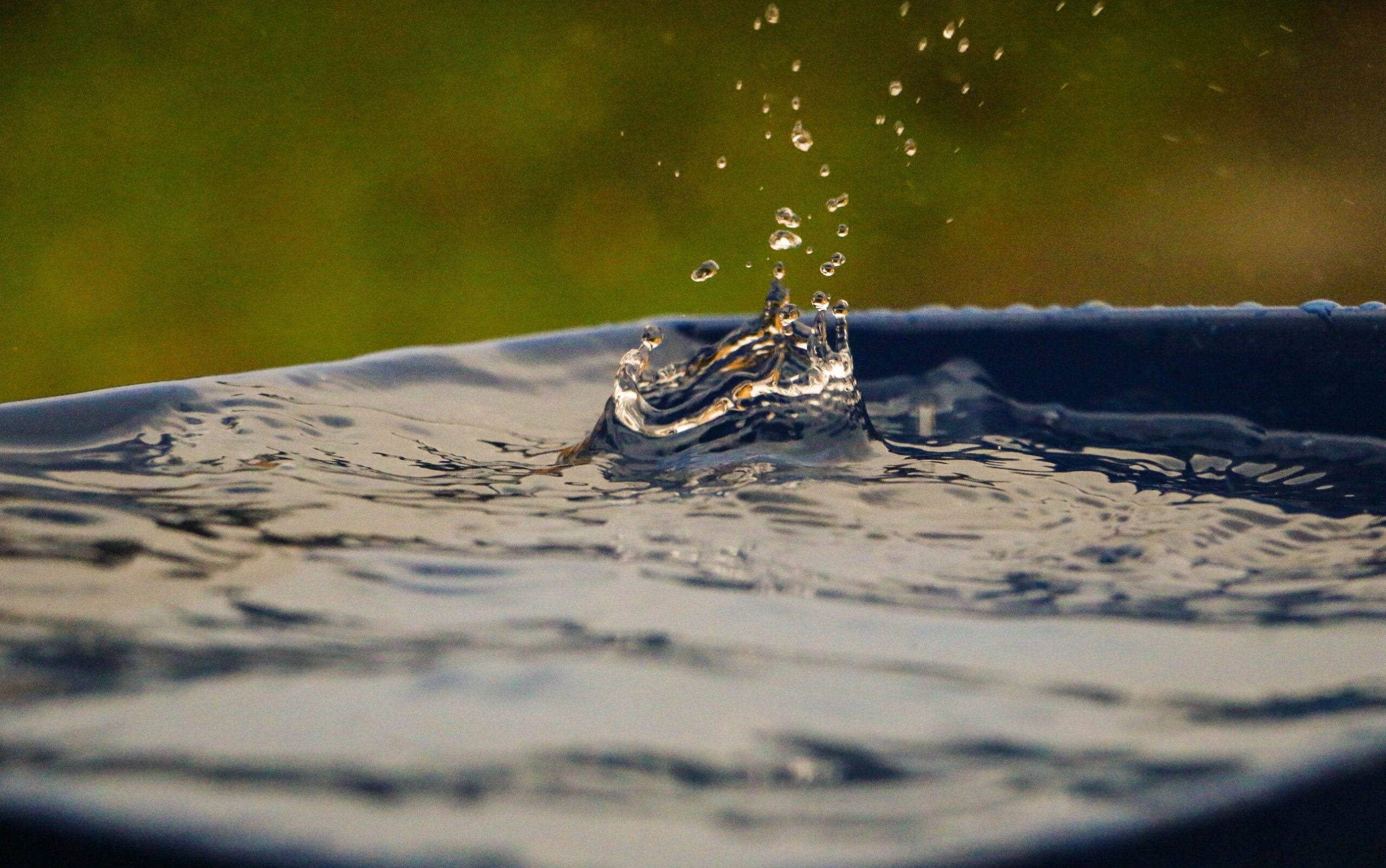 Rain drop into a vessel with murky water against a blurred green background. Combined with the title, this symbolizes how we can guide your team through change management during mergers and acquisitions.