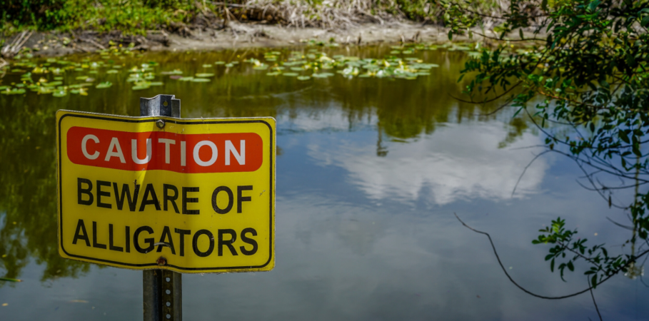 Body of water with a yellow sign and red text saying, “CAUTION,” then black text saying BEWARE OF ALLIGATORS, symbolizing the obstacles you may experience with a DITA adoption.